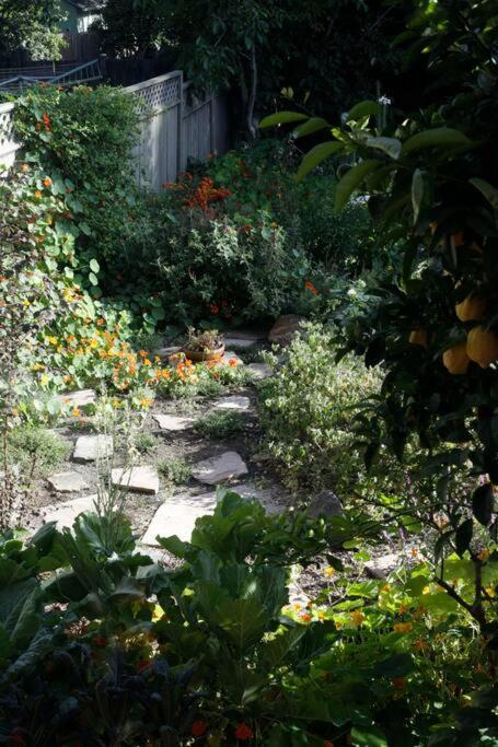 Beautiful, Historic Family Home Near Lake Merritt Оукланд Екстериор снимка