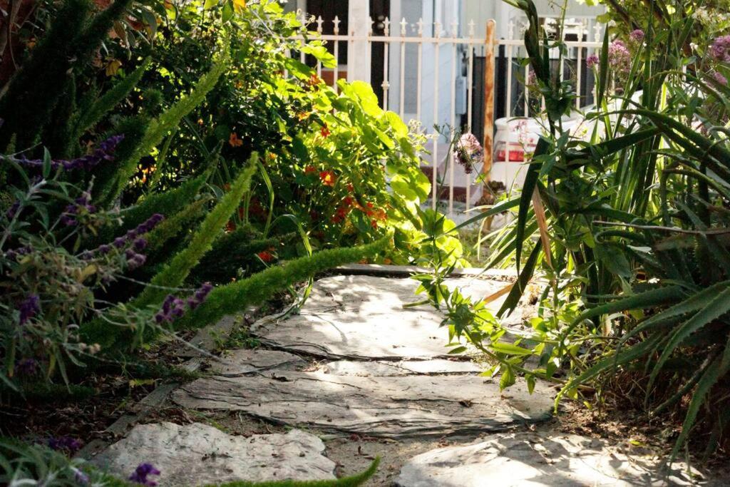 Beautiful, Historic Family Home Near Lake Merritt Оукланд Екстериор снимка